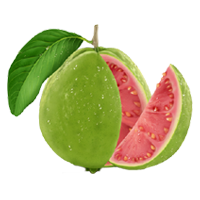 Guava