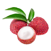 Litchi