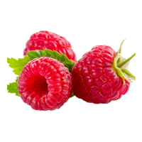 Raspberry