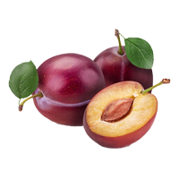 Plum