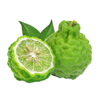 Bergamot